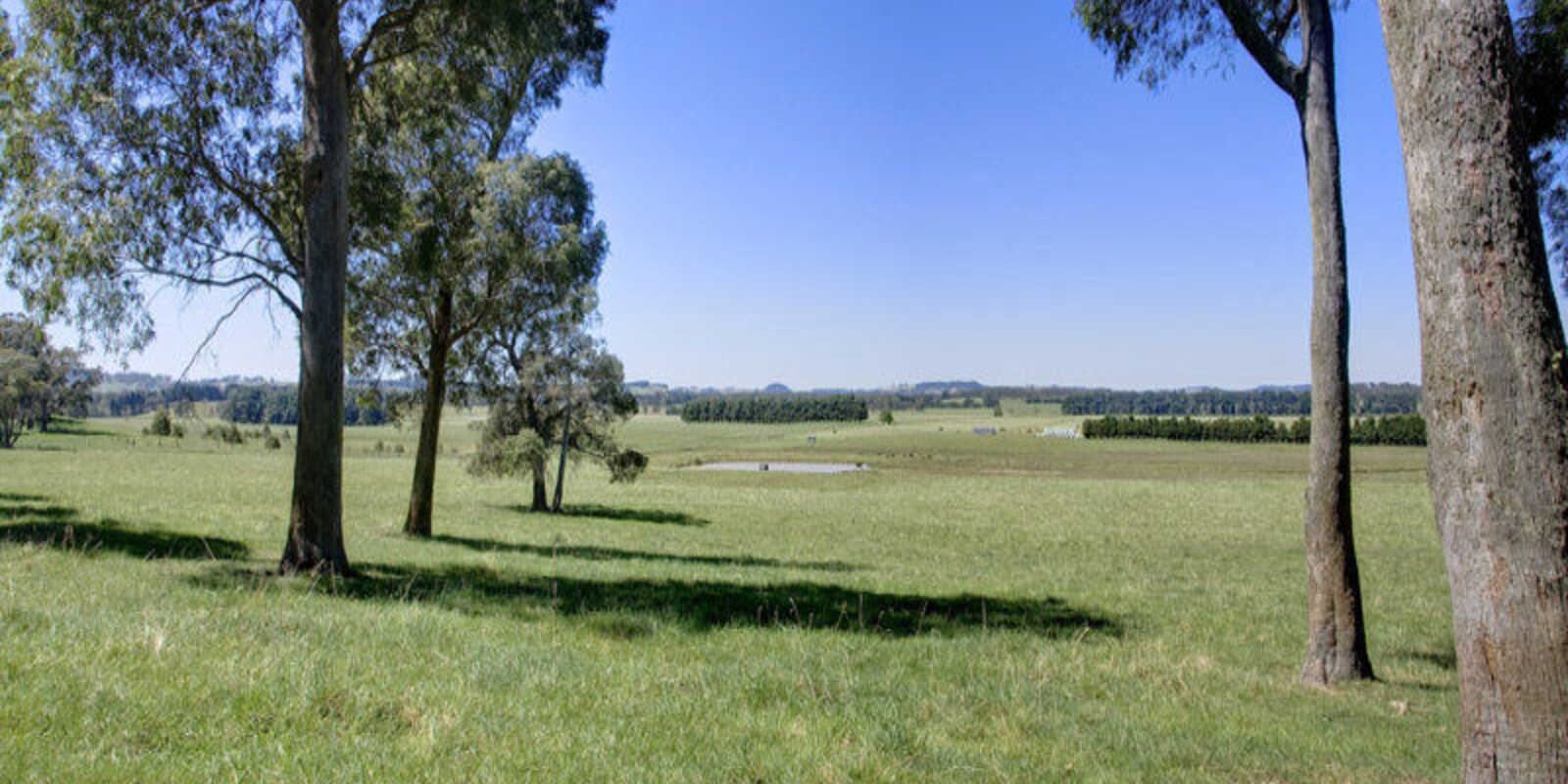  Headlam Road Moss Vale