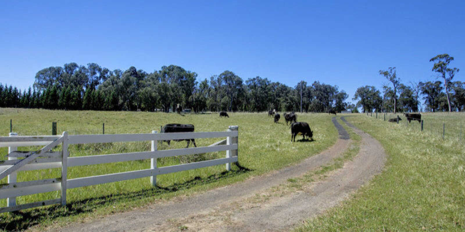  Headlam Road Moss Vale