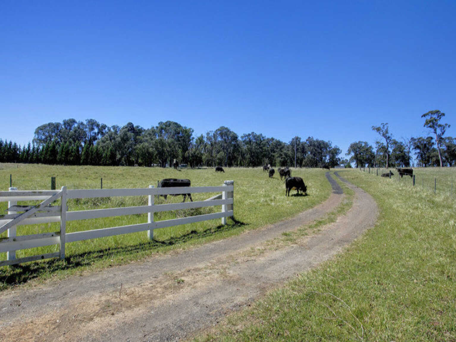  Headlam Road Moss Vale
