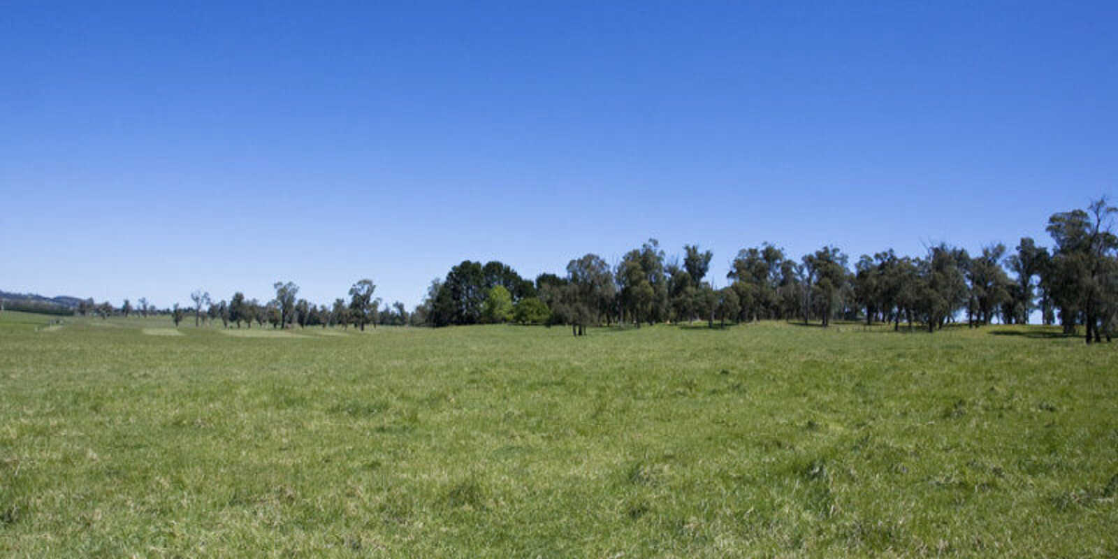  Headlam Road Moss Vale