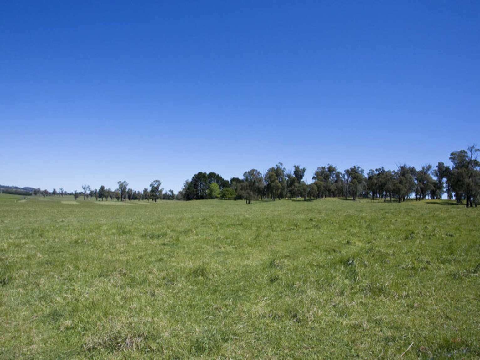  Headlam Road Moss Vale