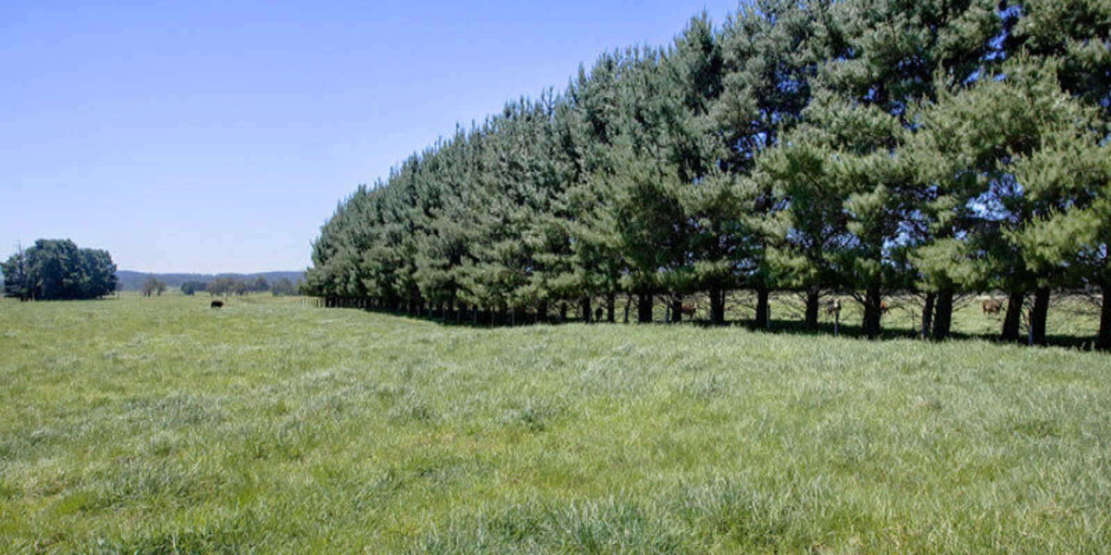  Headlam Road Moss Vale