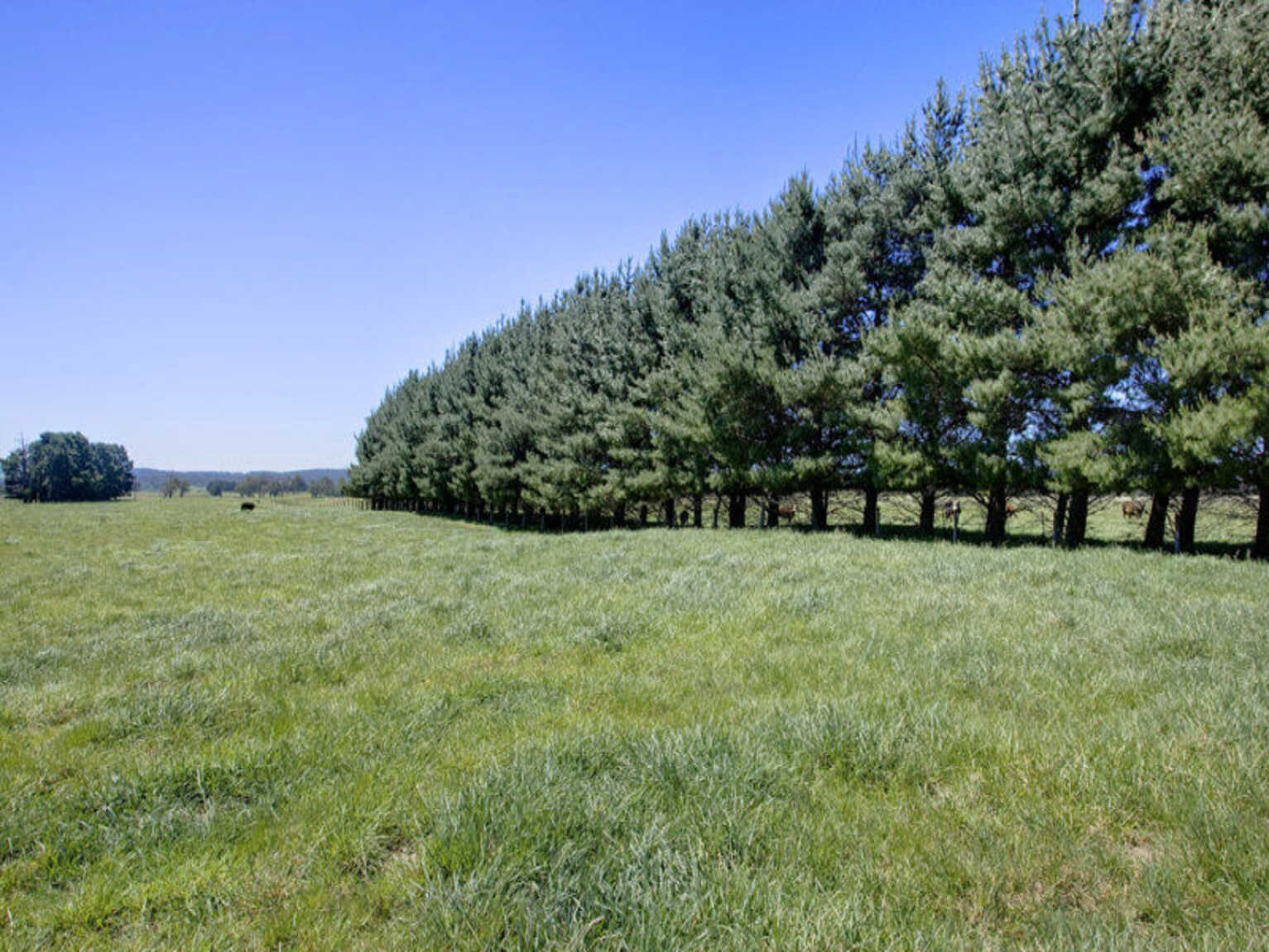 Headlam Road Moss Vale