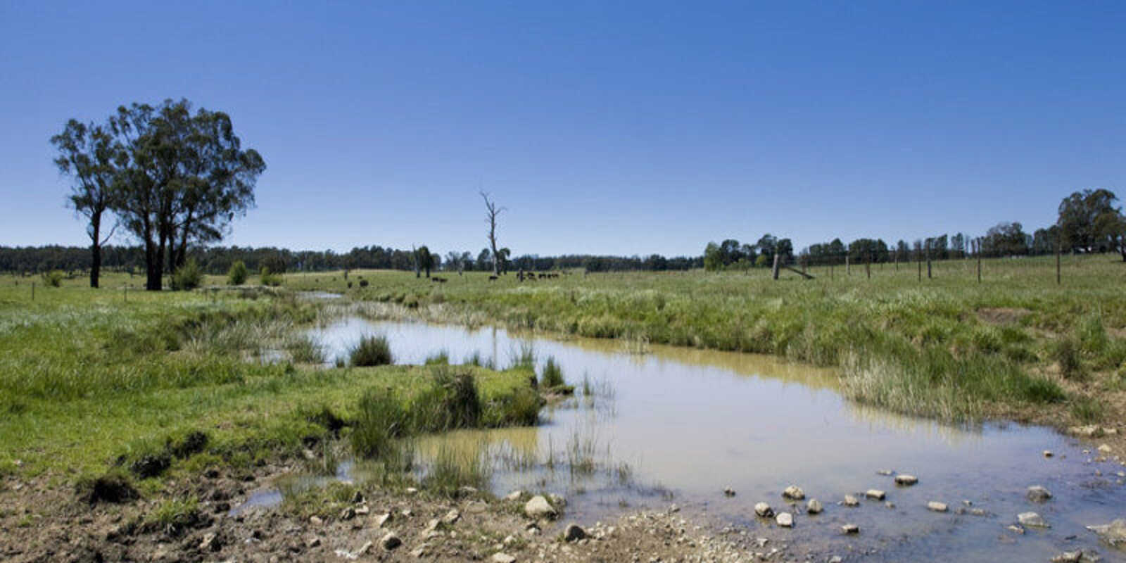  Headlam Road Moss Vale