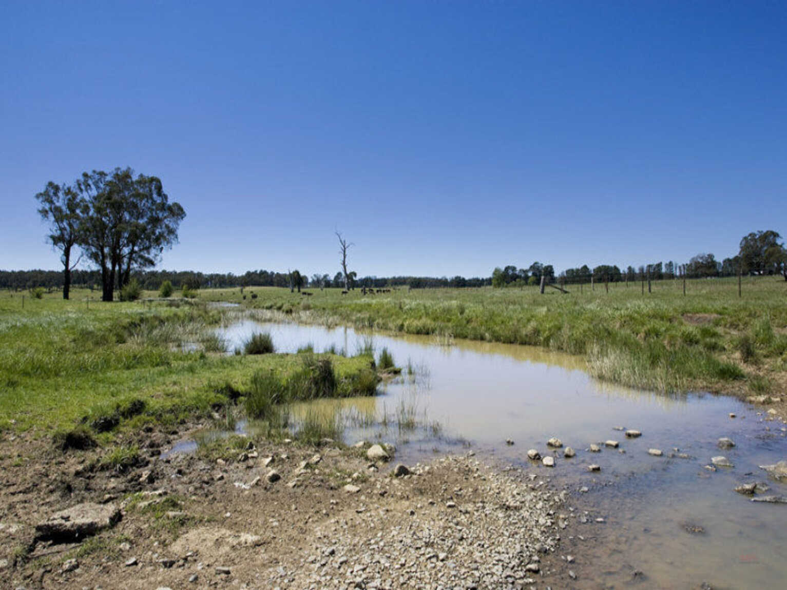  Headlam Road Moss Vale