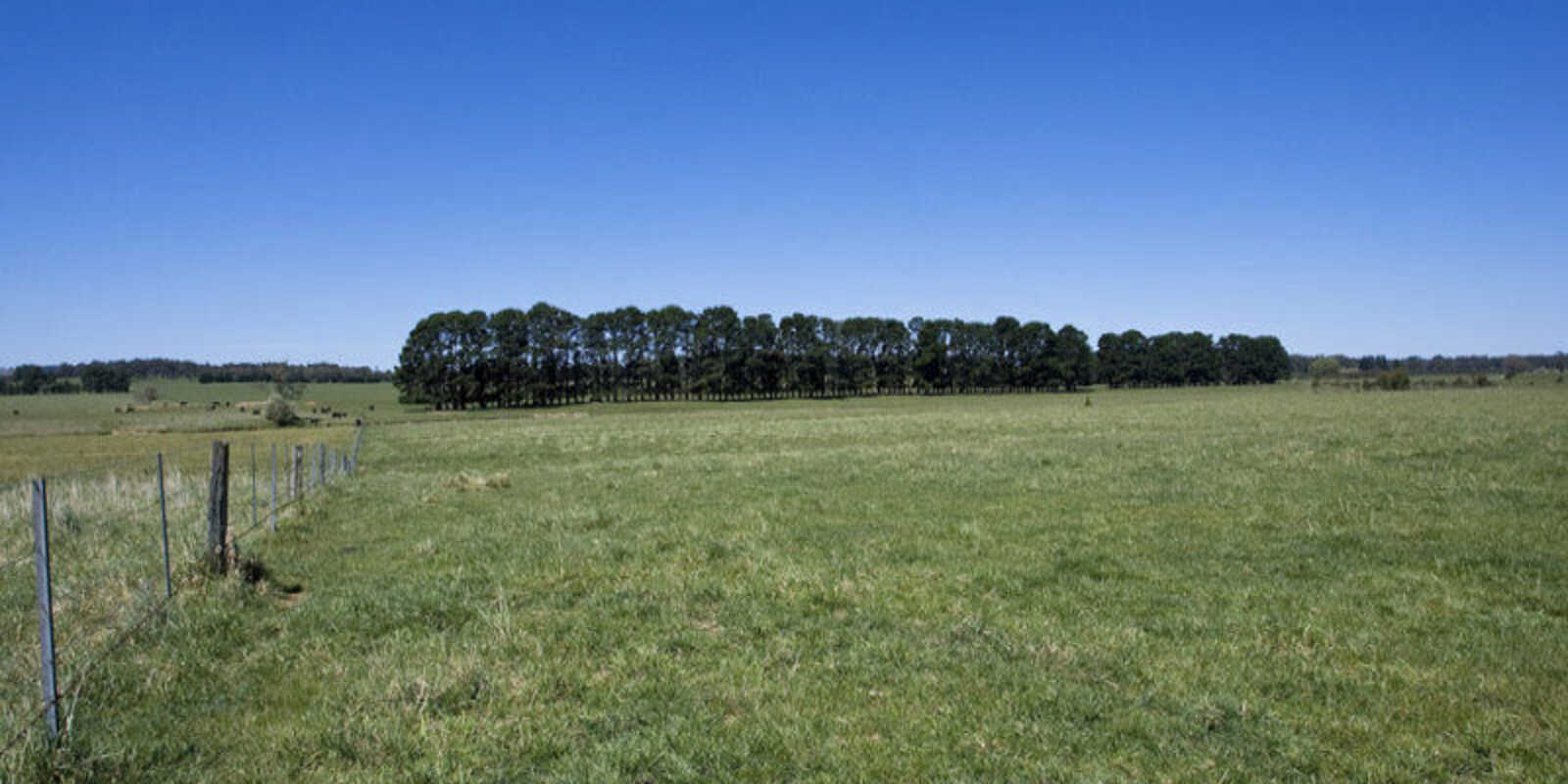  Headlam Road Moss Vale