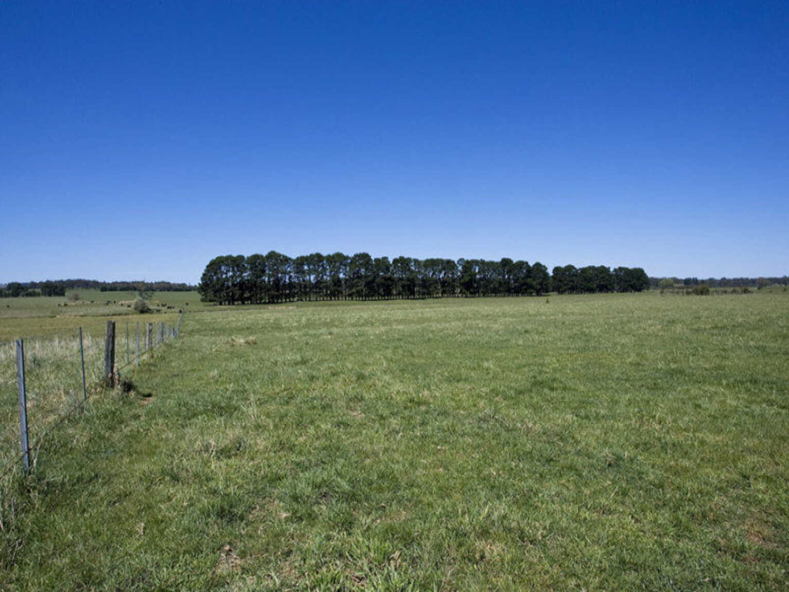  Headlam Road Moss Vale