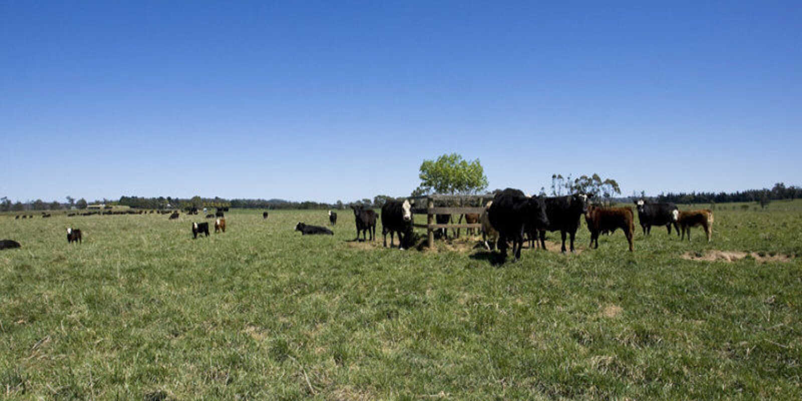  Headlam Road Moss Vale
