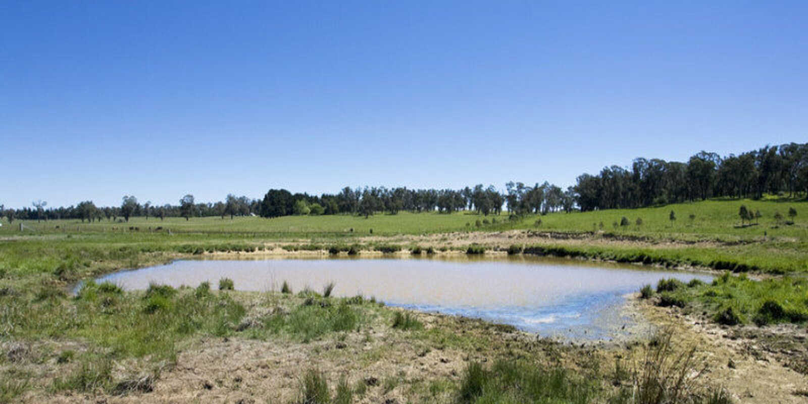  Headlam Road Moss Vale