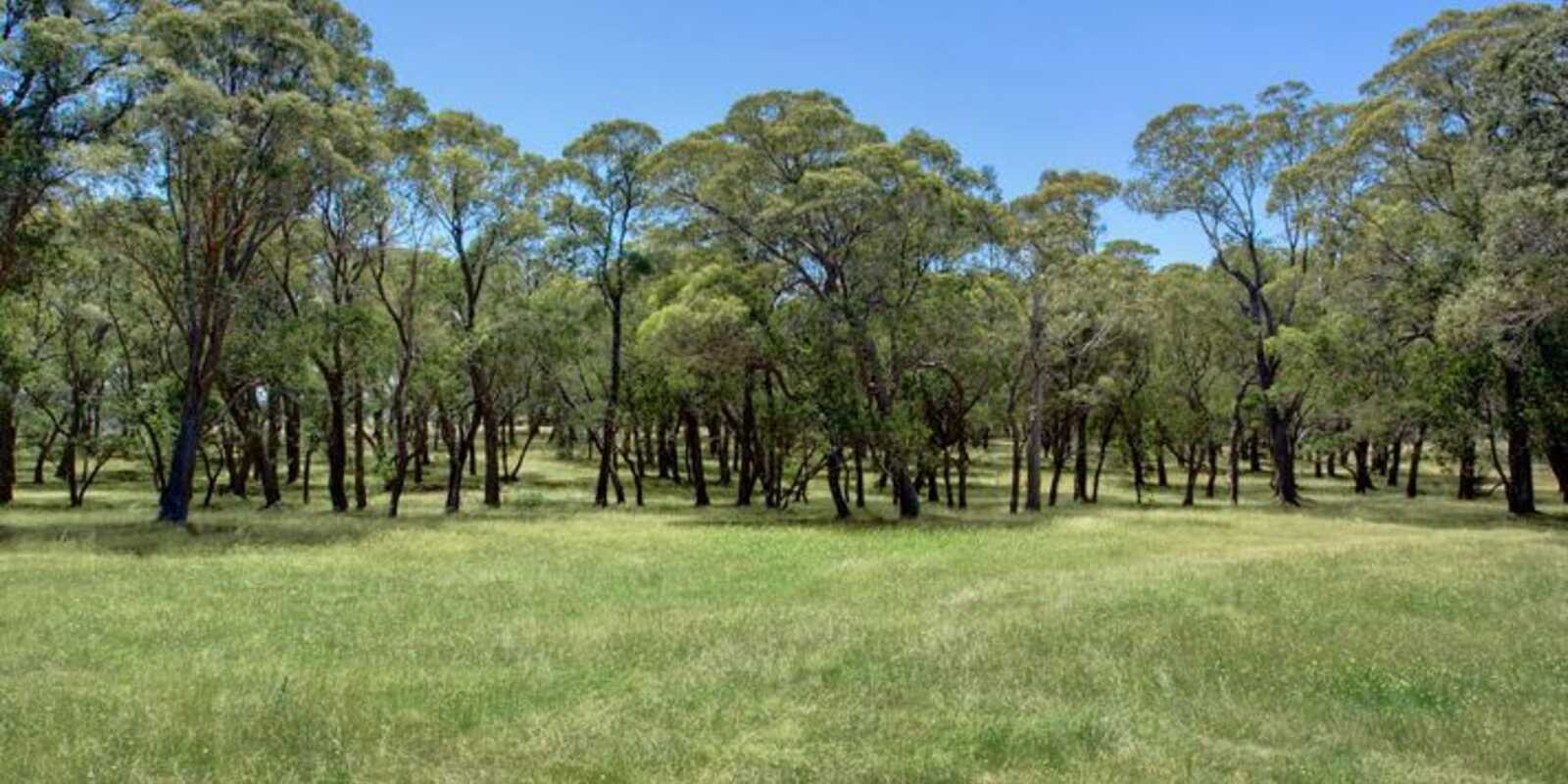  Majellan Park 315 Yarrawa Road Moss Vale