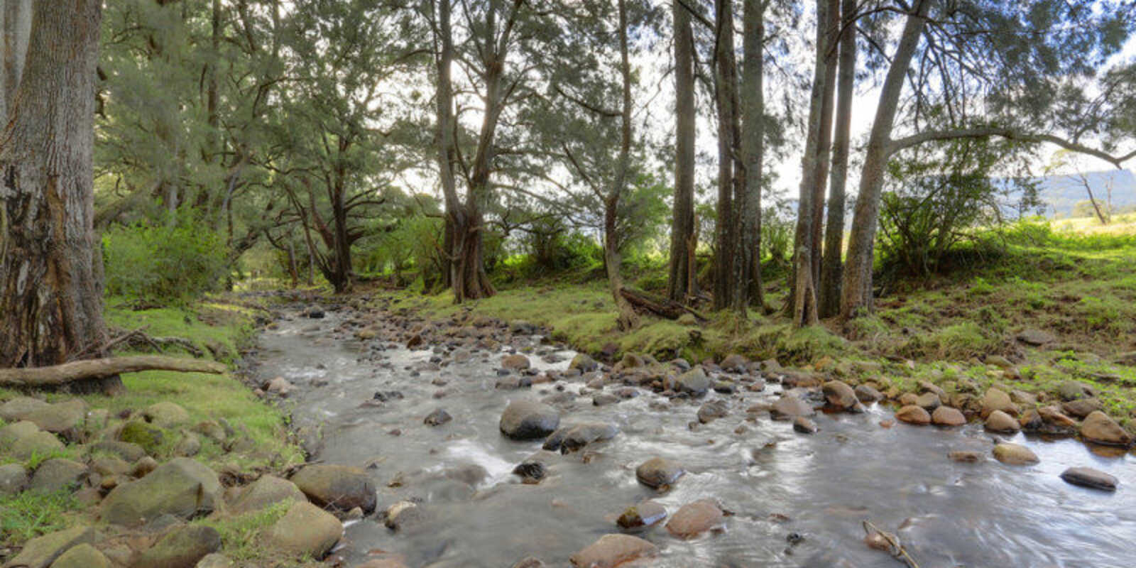 1426 Moss Vale Road Kangaroo Valley