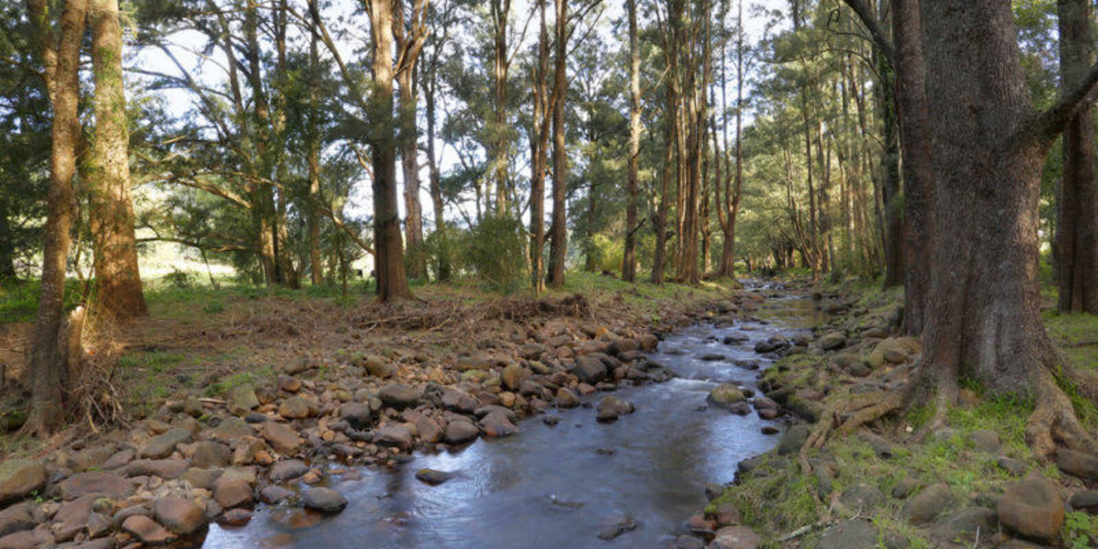 1426 Moss Vale Road Kangaroo Valley