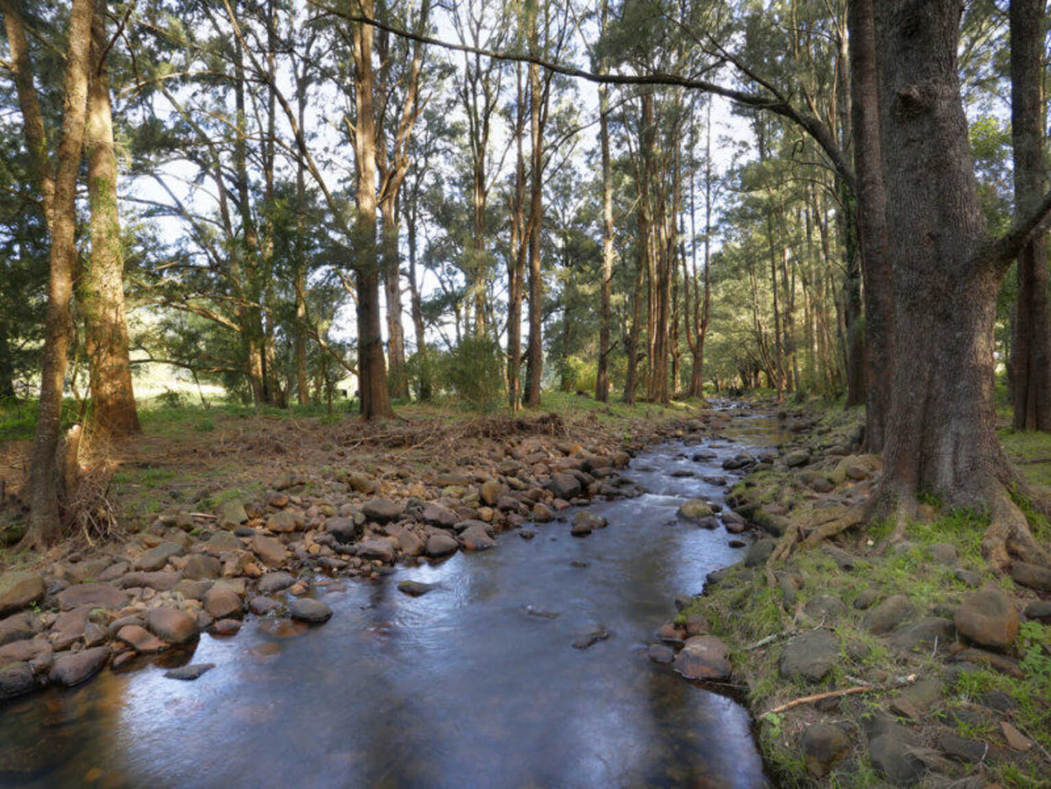 1426 Moss Vale Road Kangaroo Valley