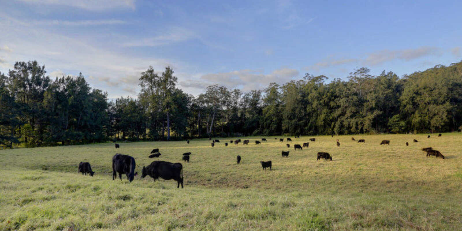 1426 Moss Vale Road Kangaroo Valley