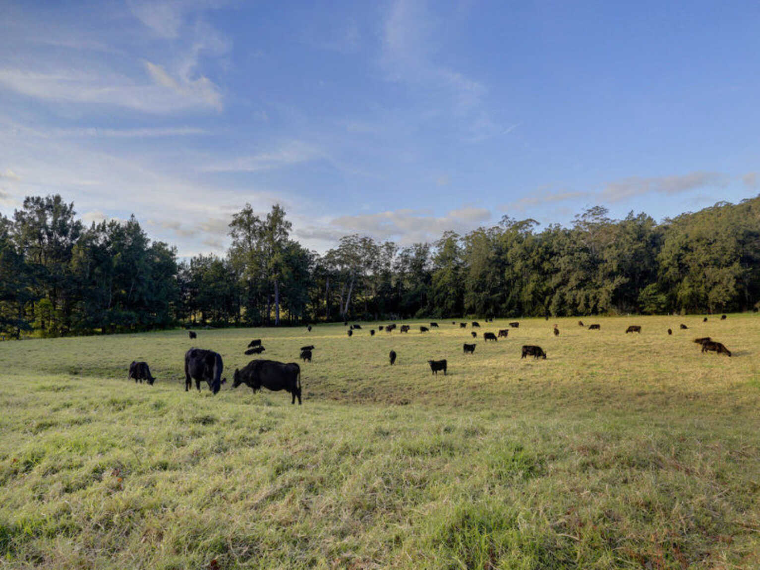 1426 Moss Vale Road Kangaroo Valley