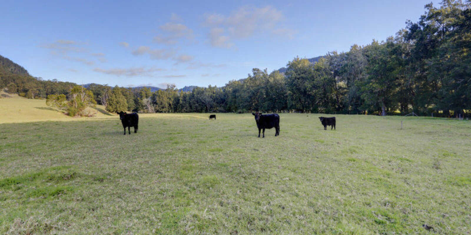 1426 Moss Vale Road Kangaroo Valley