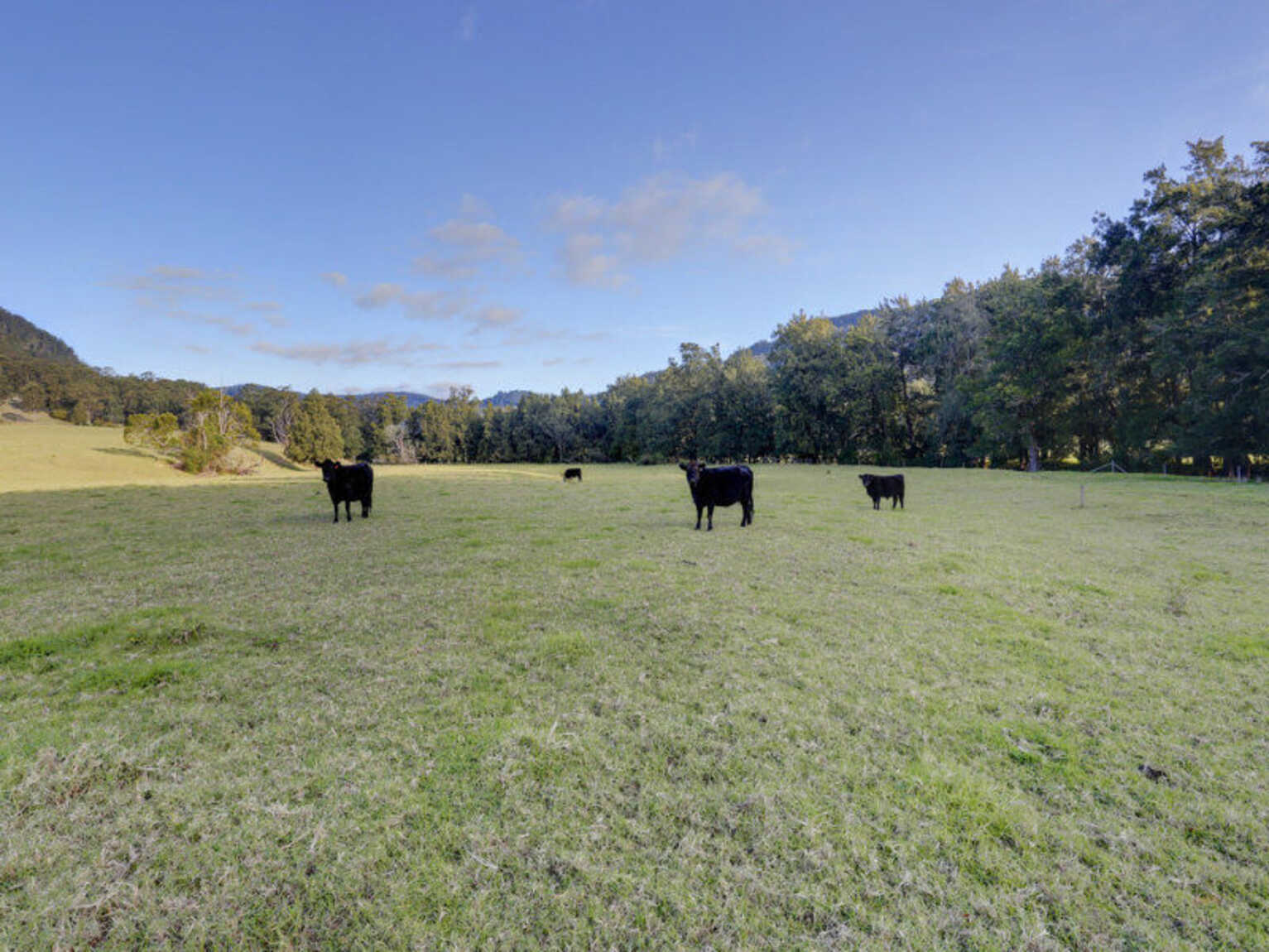 1426 Moss Vale Road Kangaroo Valley