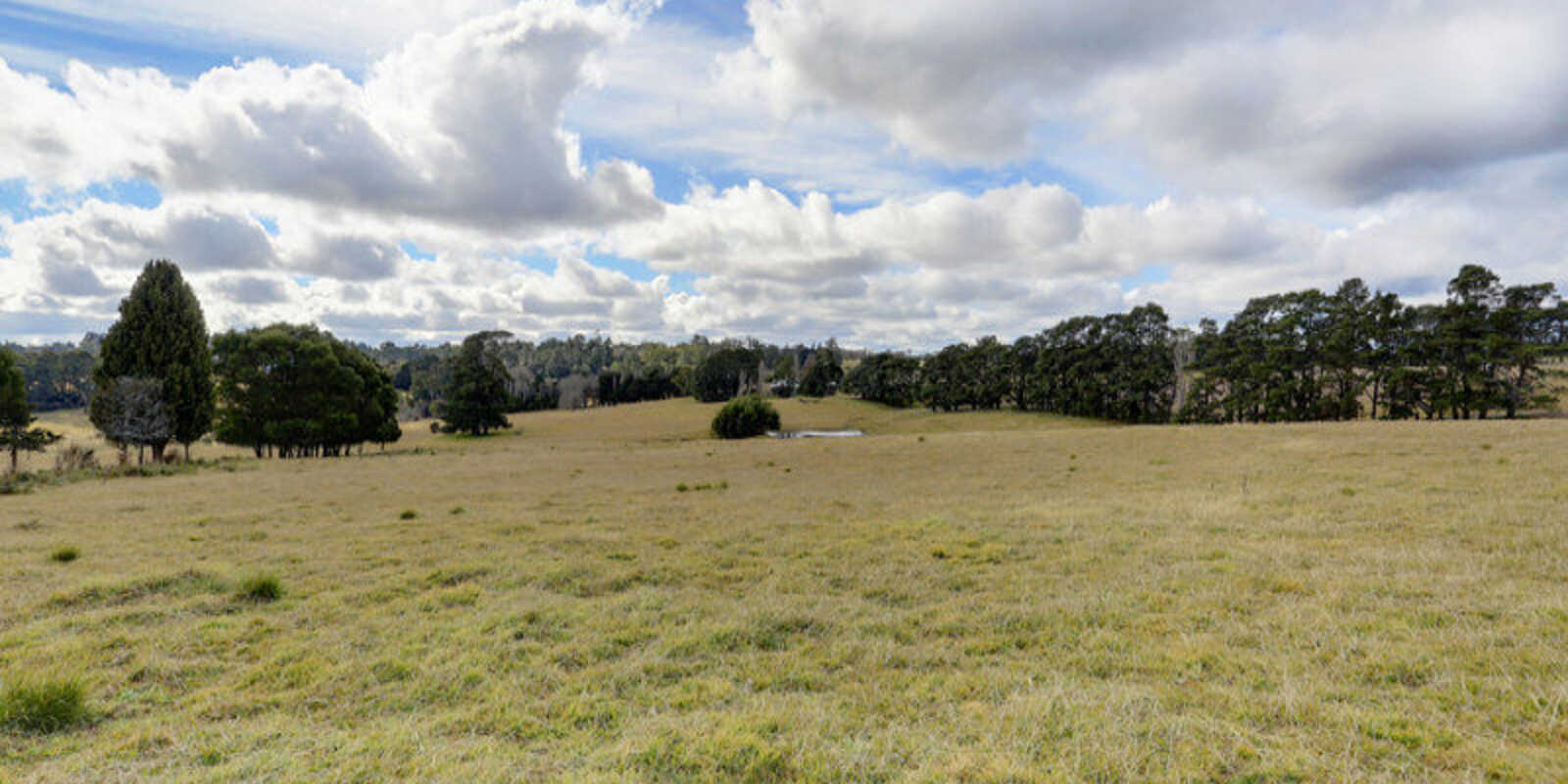 Lot 12 Ringwood Lane Exeter