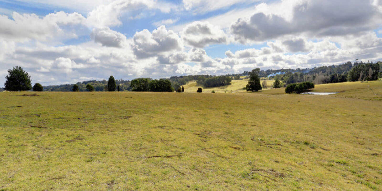Lot 12 Ringwood Lane Exeter