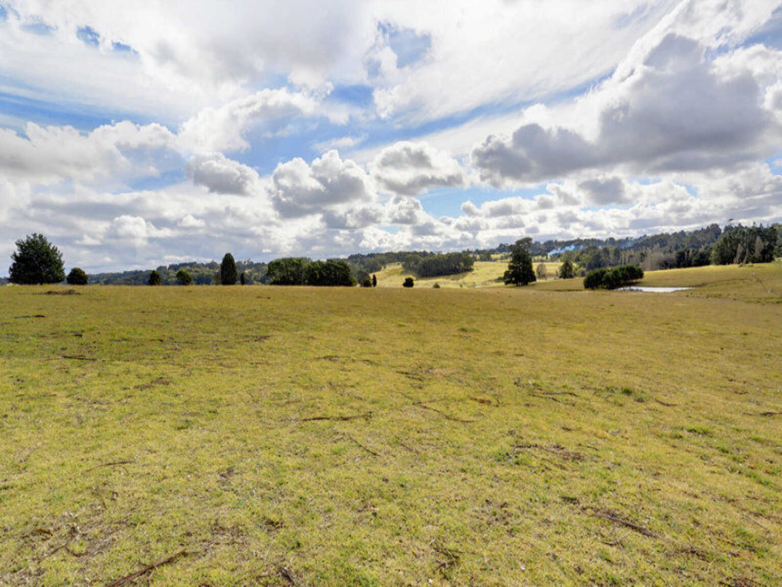 Lot 12 Ringwood Lane Exeter