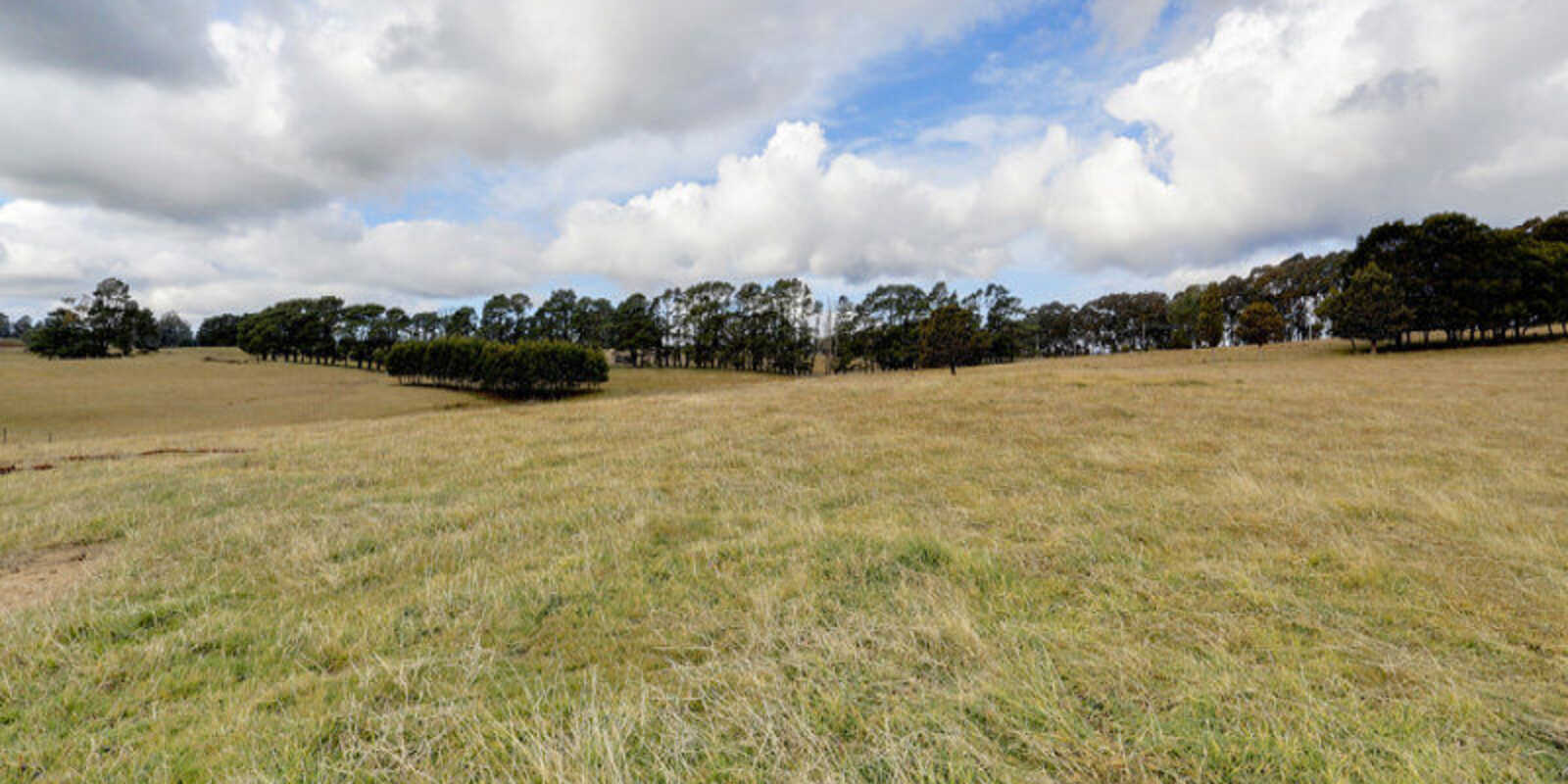 Lot 12 Ringwood Lane Exeter