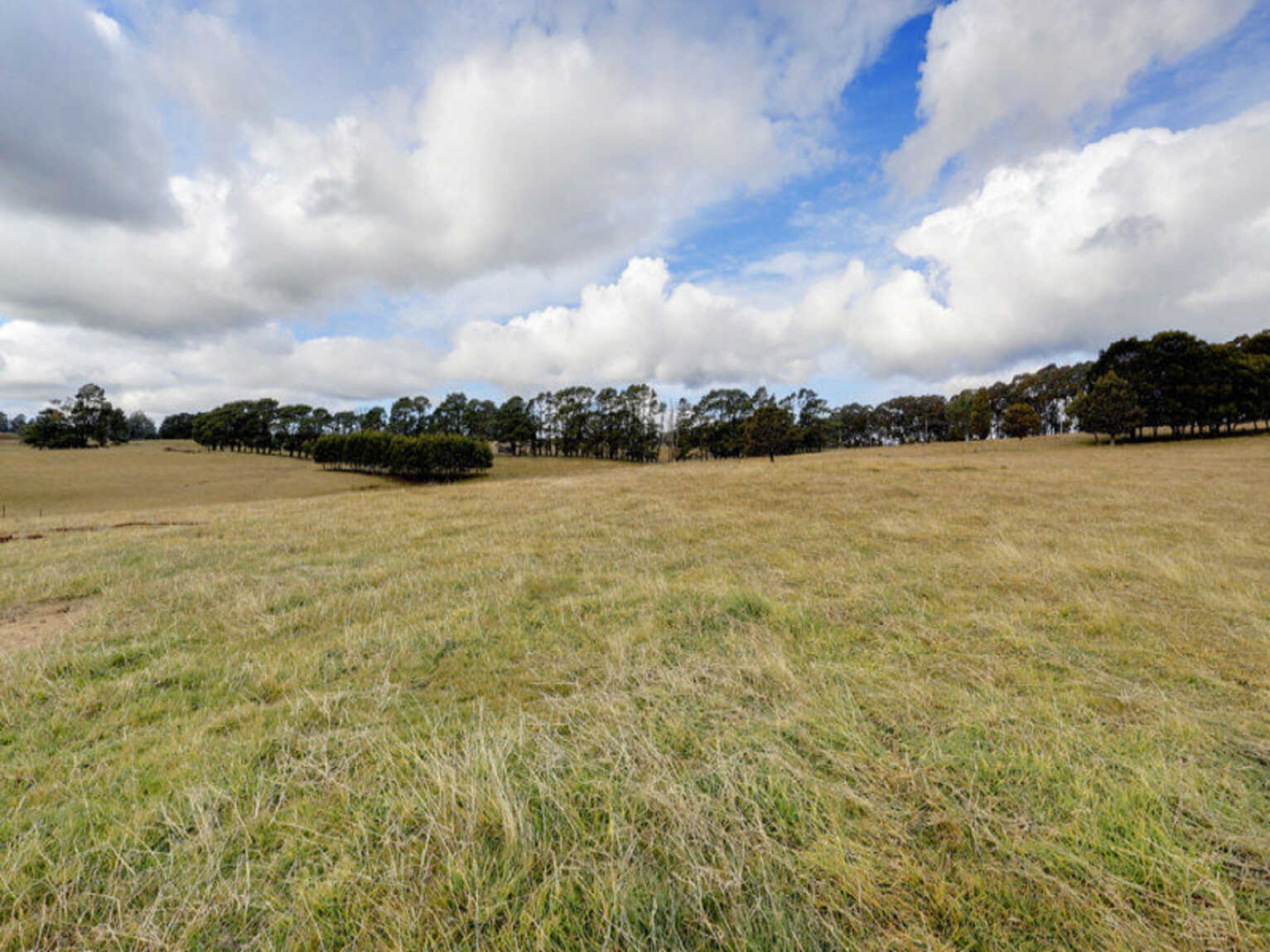 Lot 12 Ringwood Lane Exeter