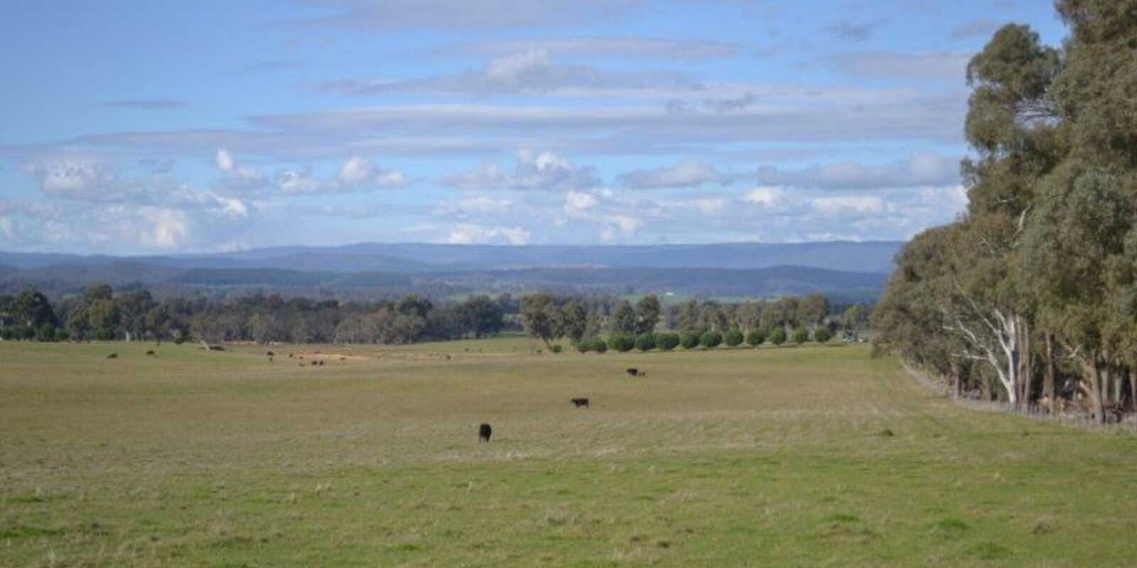 Lot 74 Craven Road Rosewood