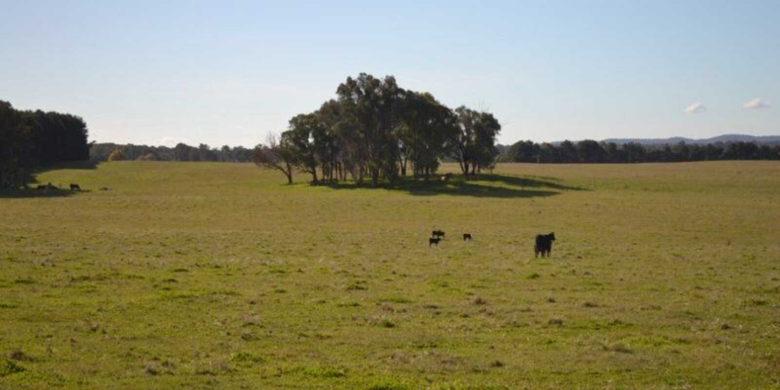 Lot 74 Craven Road Rosewood