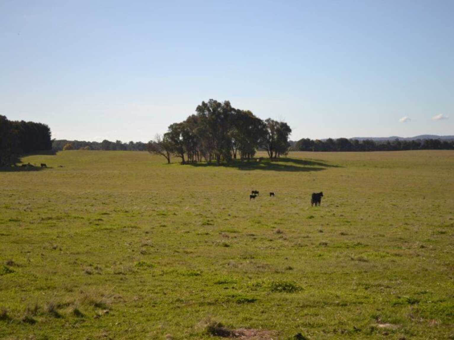 Lot 74 Craven Road Rosewood