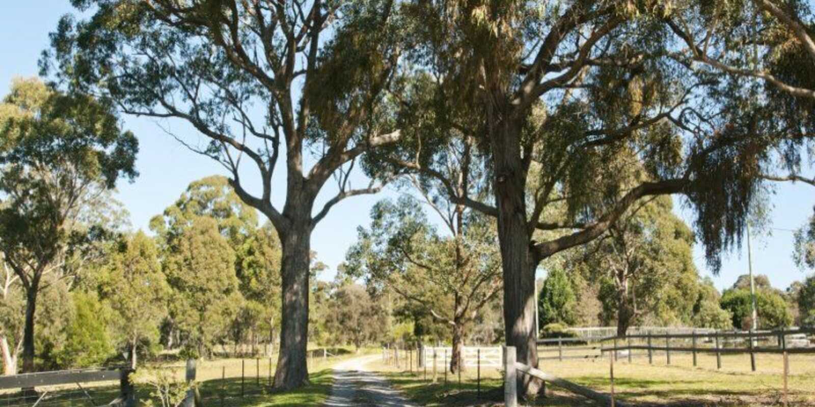 90 Corrie Road Alpine