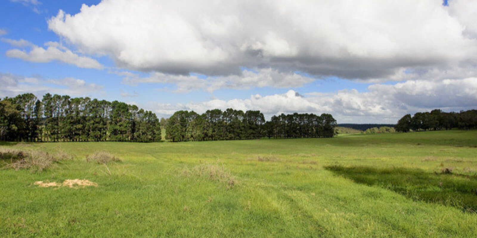 Lot 2 Bumballa Road Wingello Lot 2 Bumballa Road Wingello