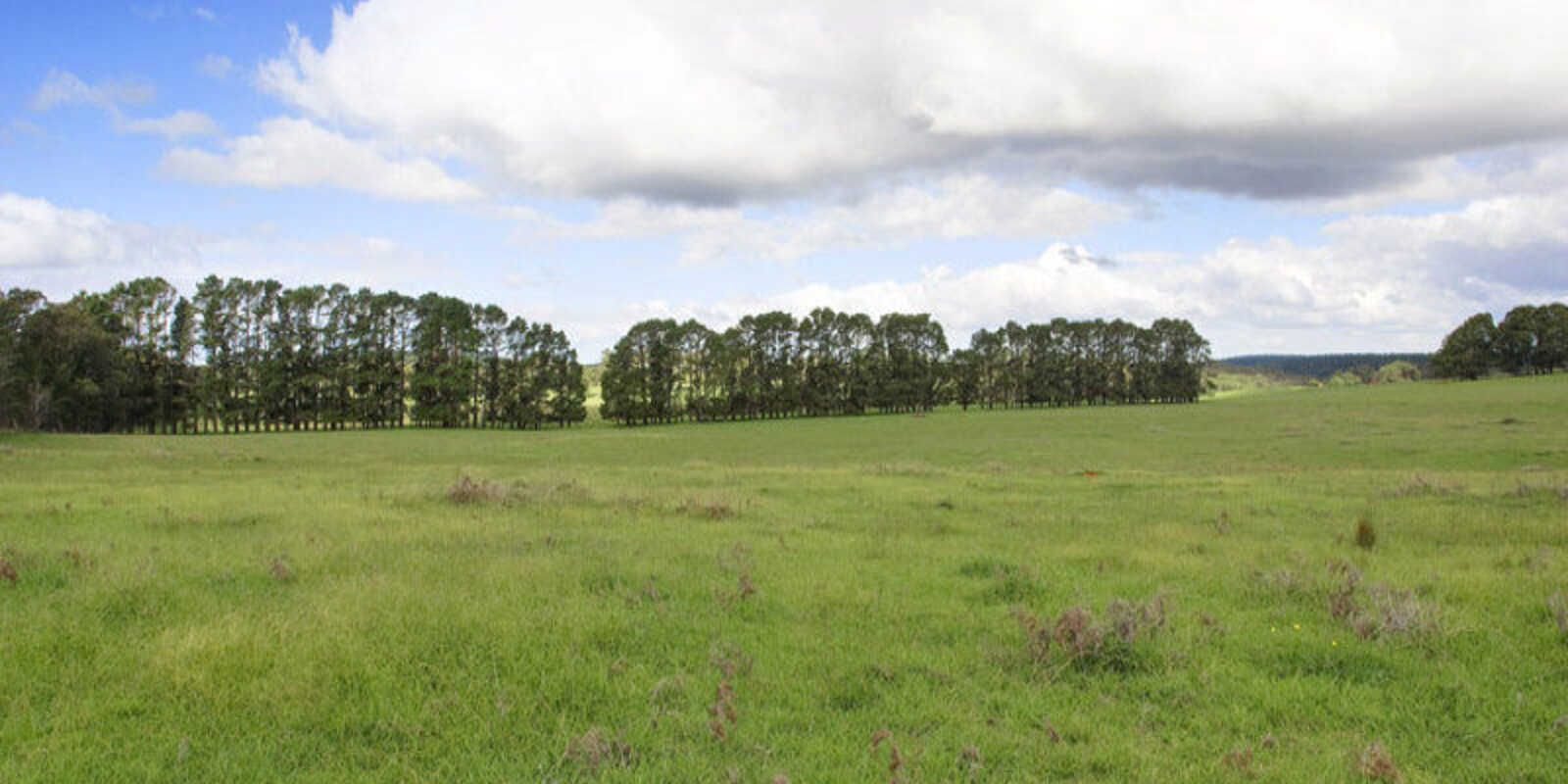Lot 2 Bumballa Road Wingello Lot 2 Bumballa Road Wingello