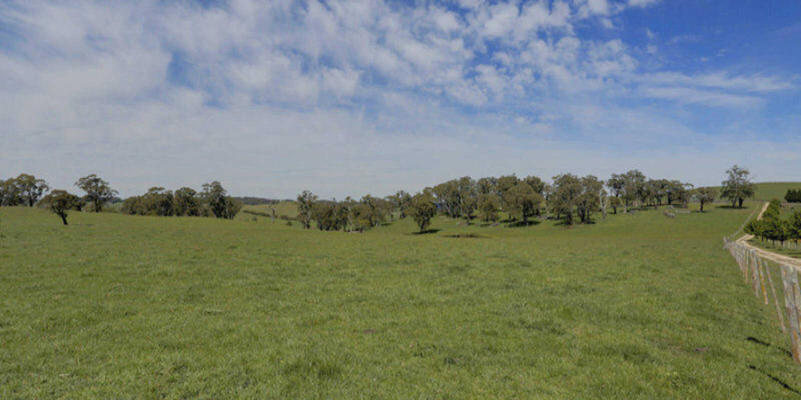 Bibby's Lane Moss Vale Bibby's Lane Moss Vale