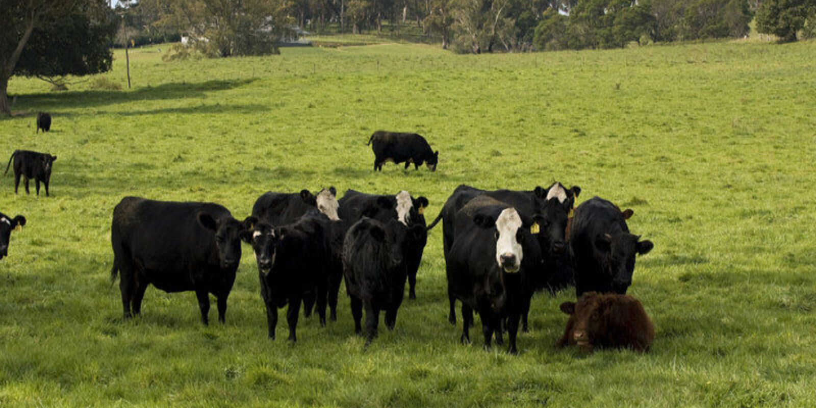 674 'Eureka Pines' Nowra Road Moss Vale