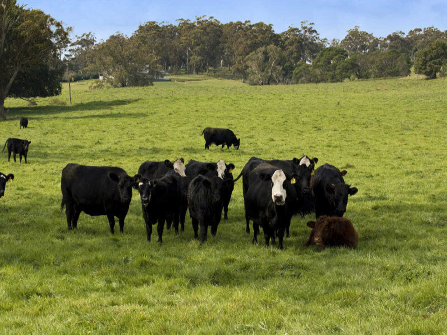 674 'Eureka Pines' Nowra Road Moss Vale