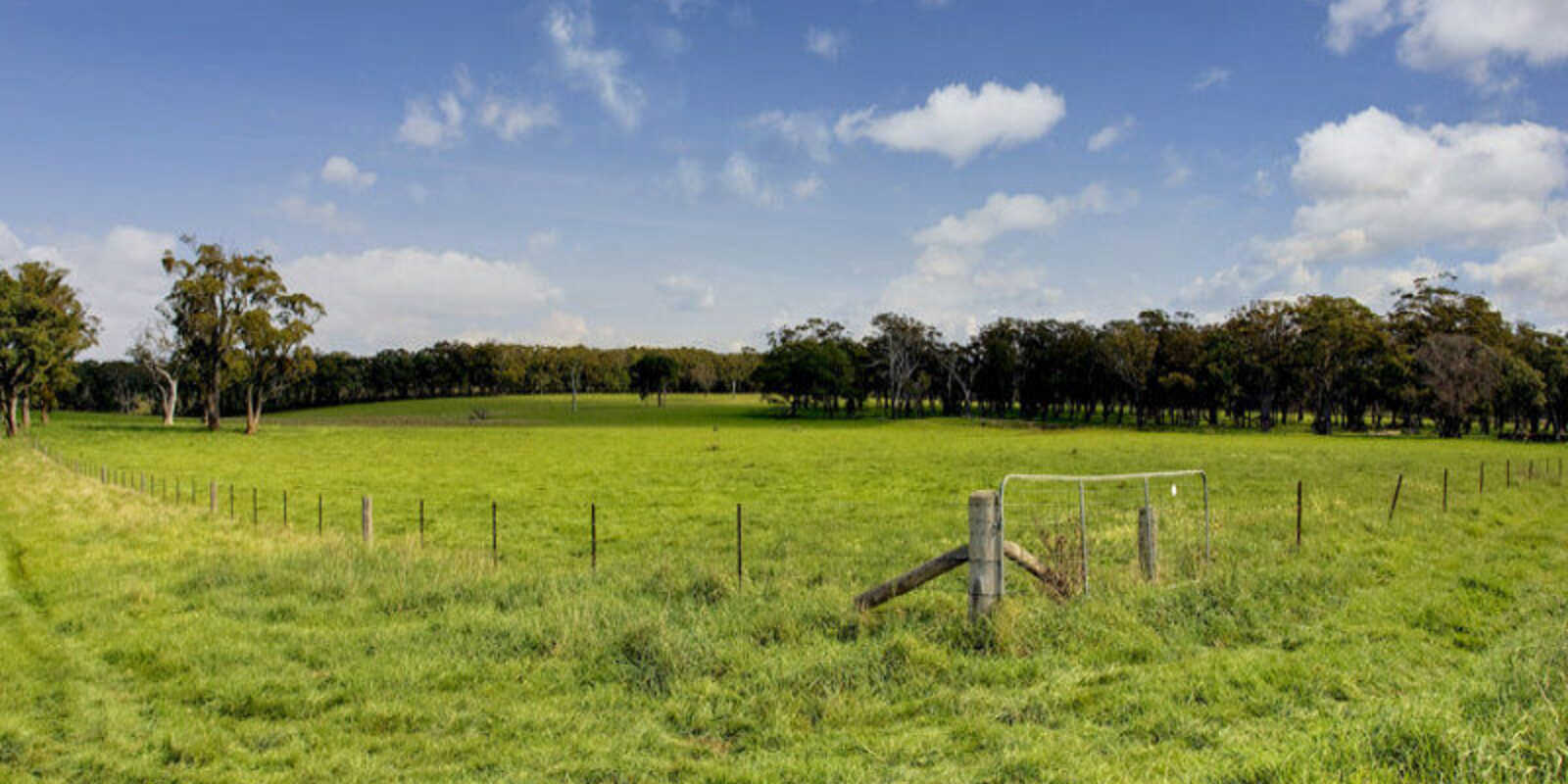 674 'Eureka Pines' Nowra Road Moss Vale