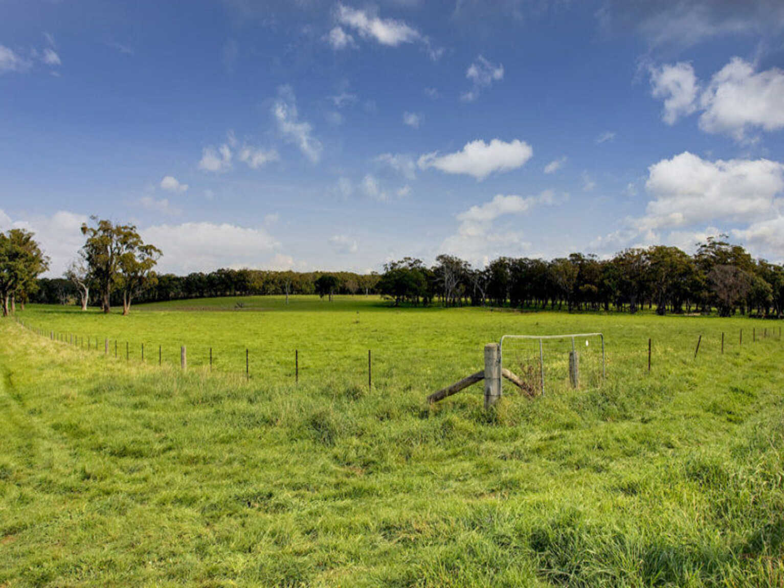 674 'Eureka Pines' Nowra Road Moss Vale