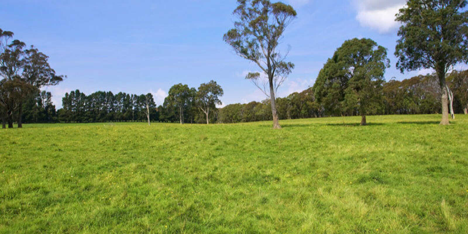 674 'Eureka Pines' Nowra Road Moss Vale