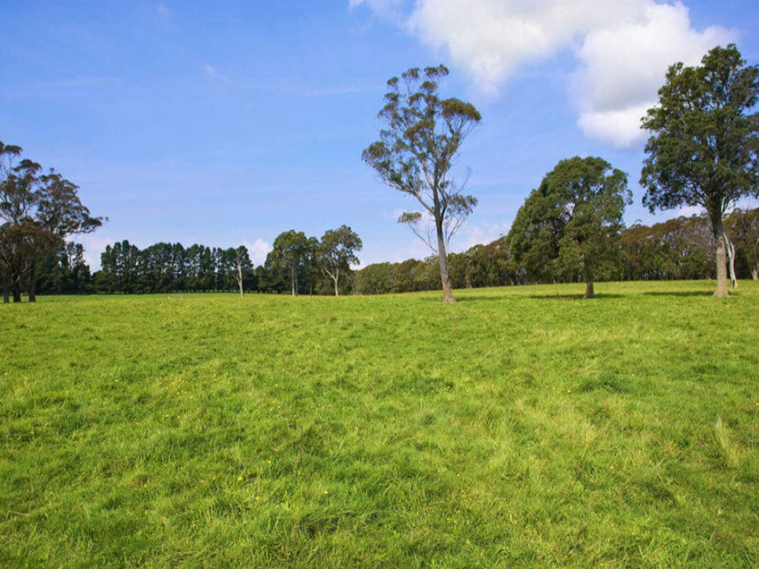 674 'Eureka Pines' Nowra Road Moss Vale