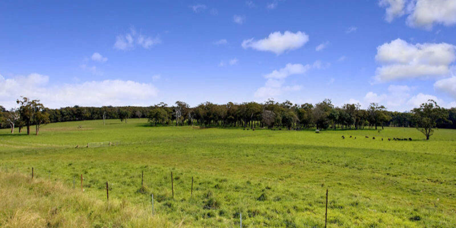 674 'Eureka Pines' Nowra Road Moss Vale