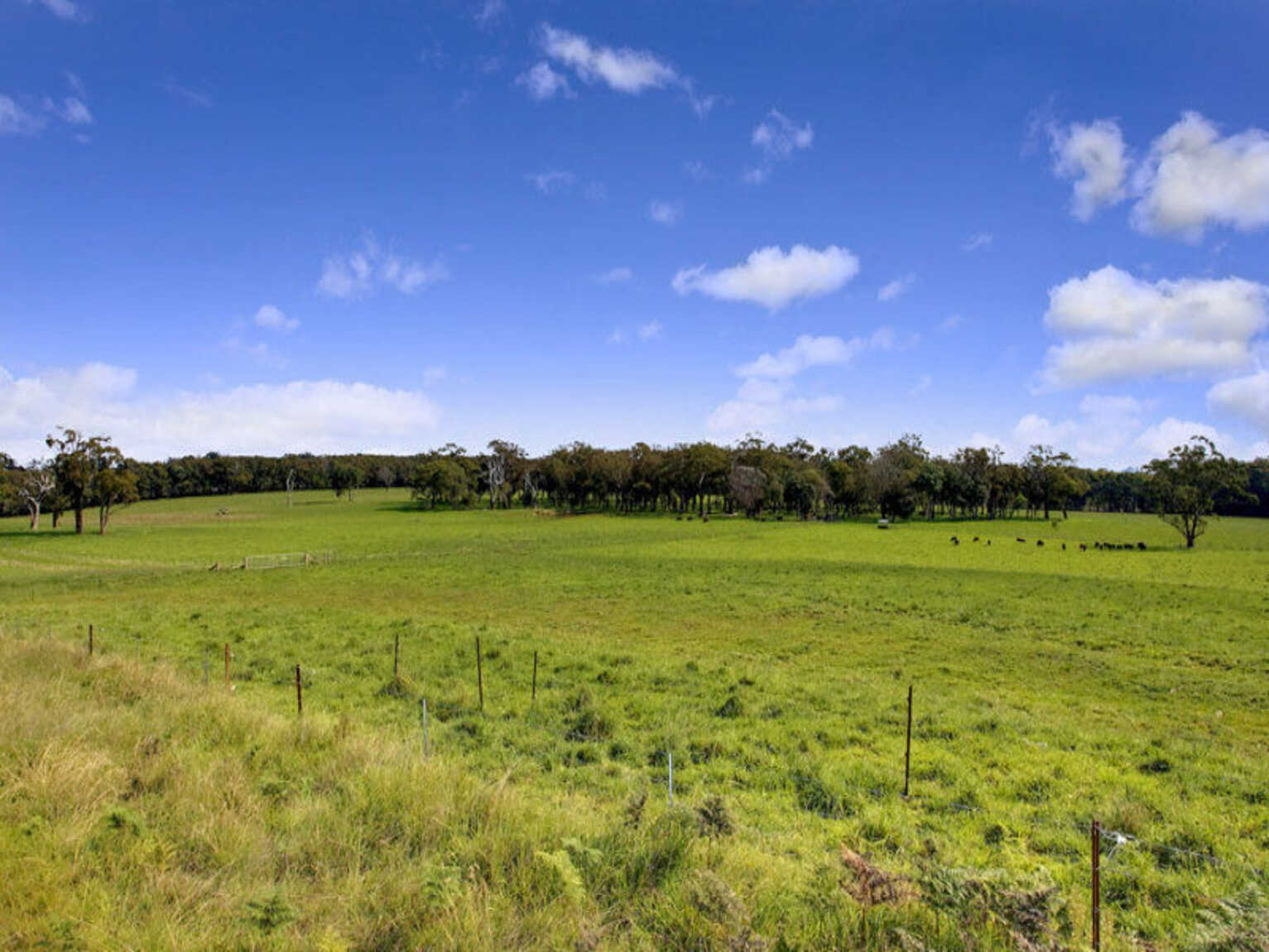 674 'Eureka Pines' Nowra Road Moss Vale