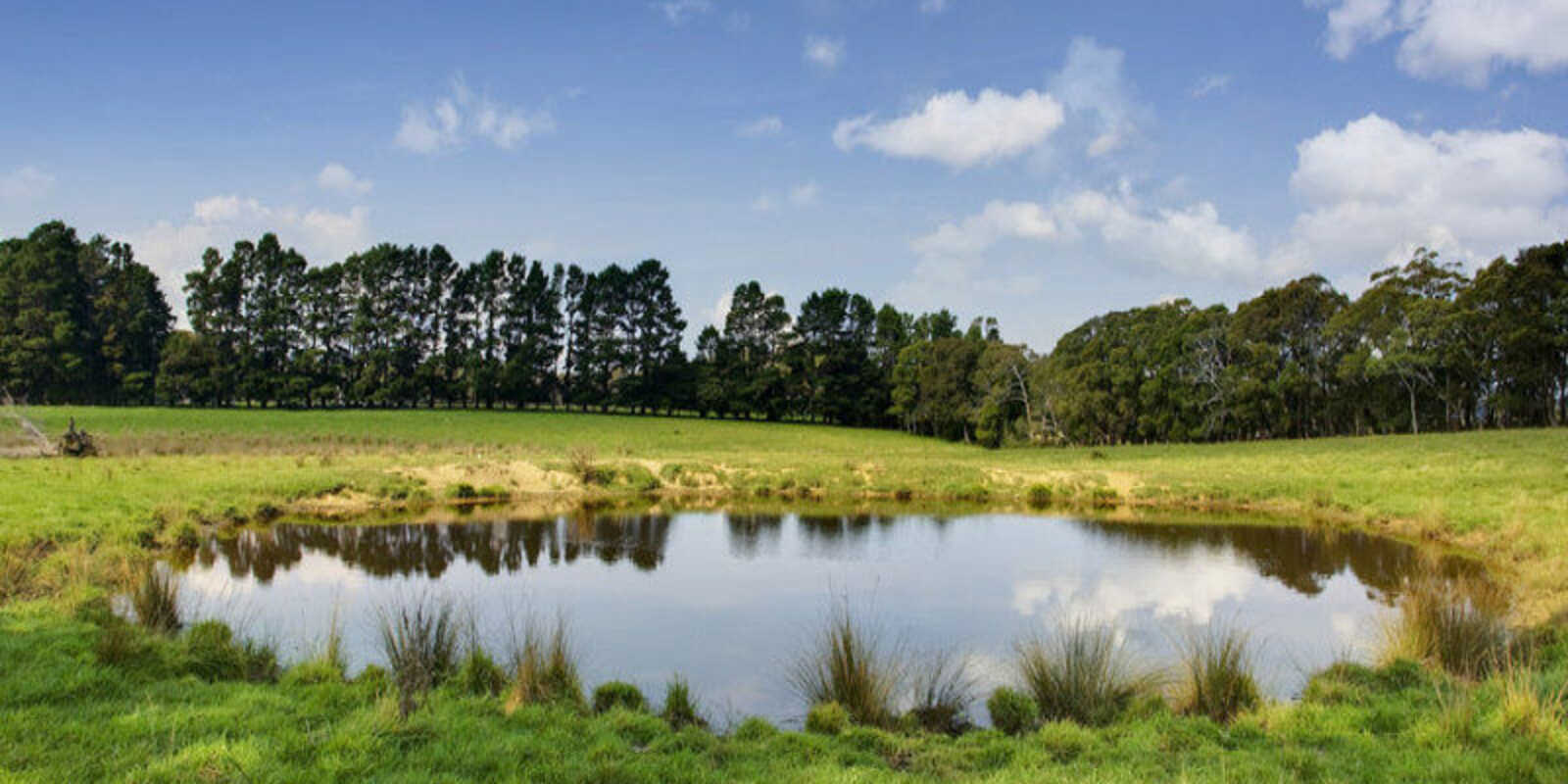 674 'Eureka Pines' Nowra Road Moss Vale