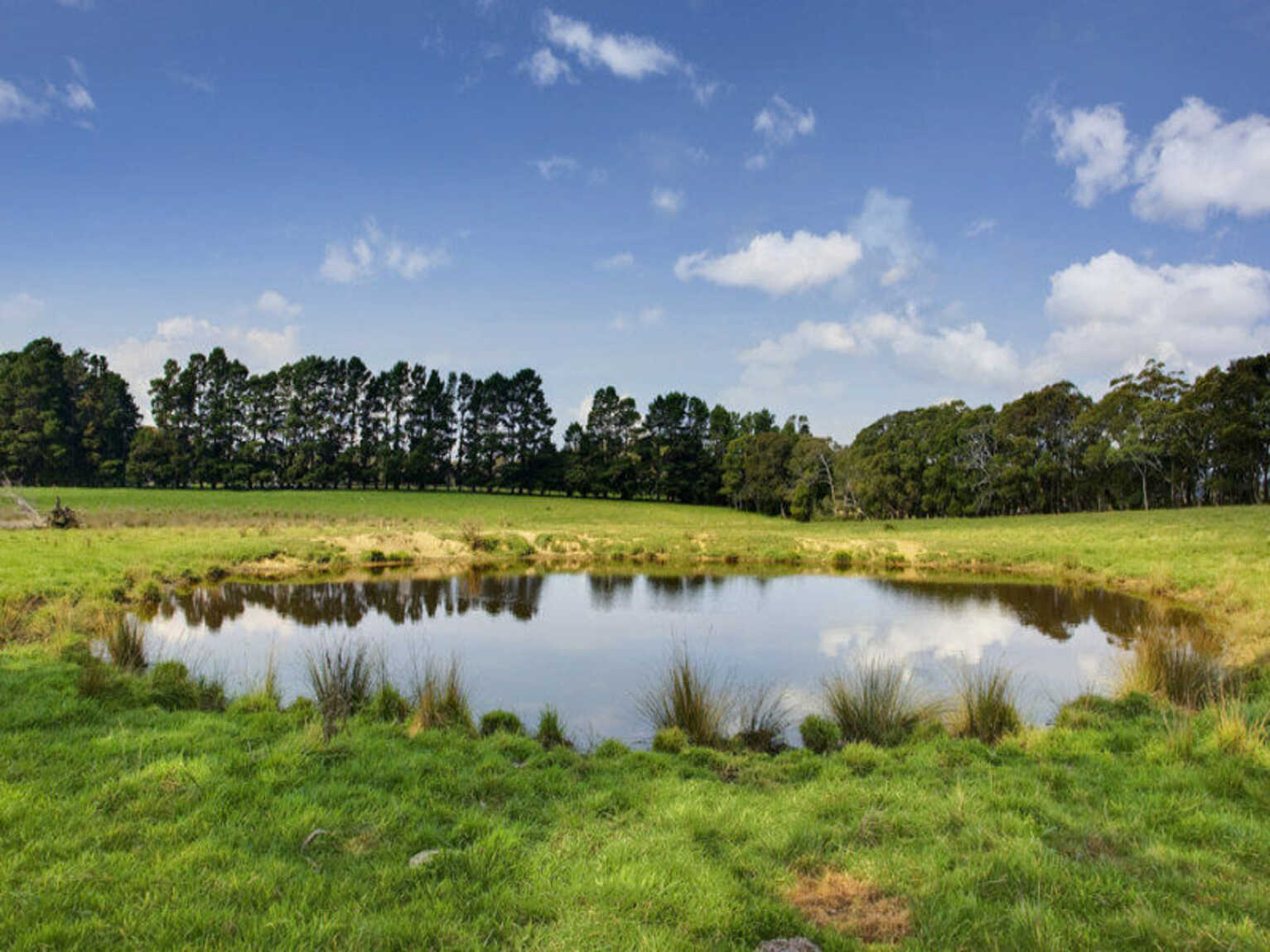 674 'Eureka Pines' Nowra Road Moss Vale