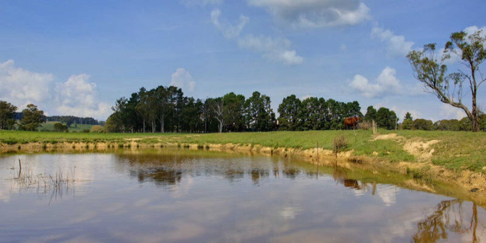 674 'Eureka Pines' Nowra Road Moss Vale