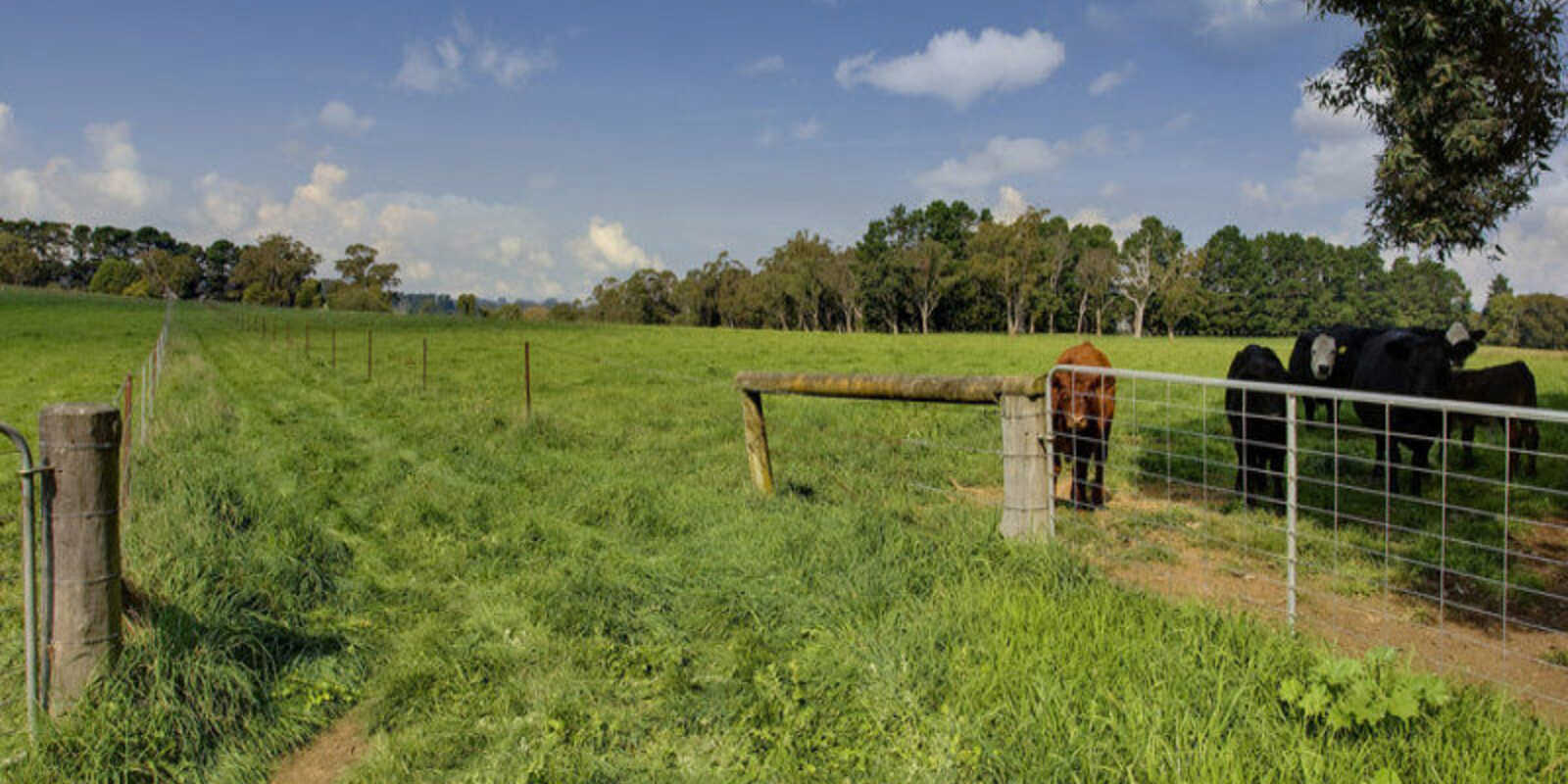 674 'Eureka Pines' Nowra Road Moss Vale