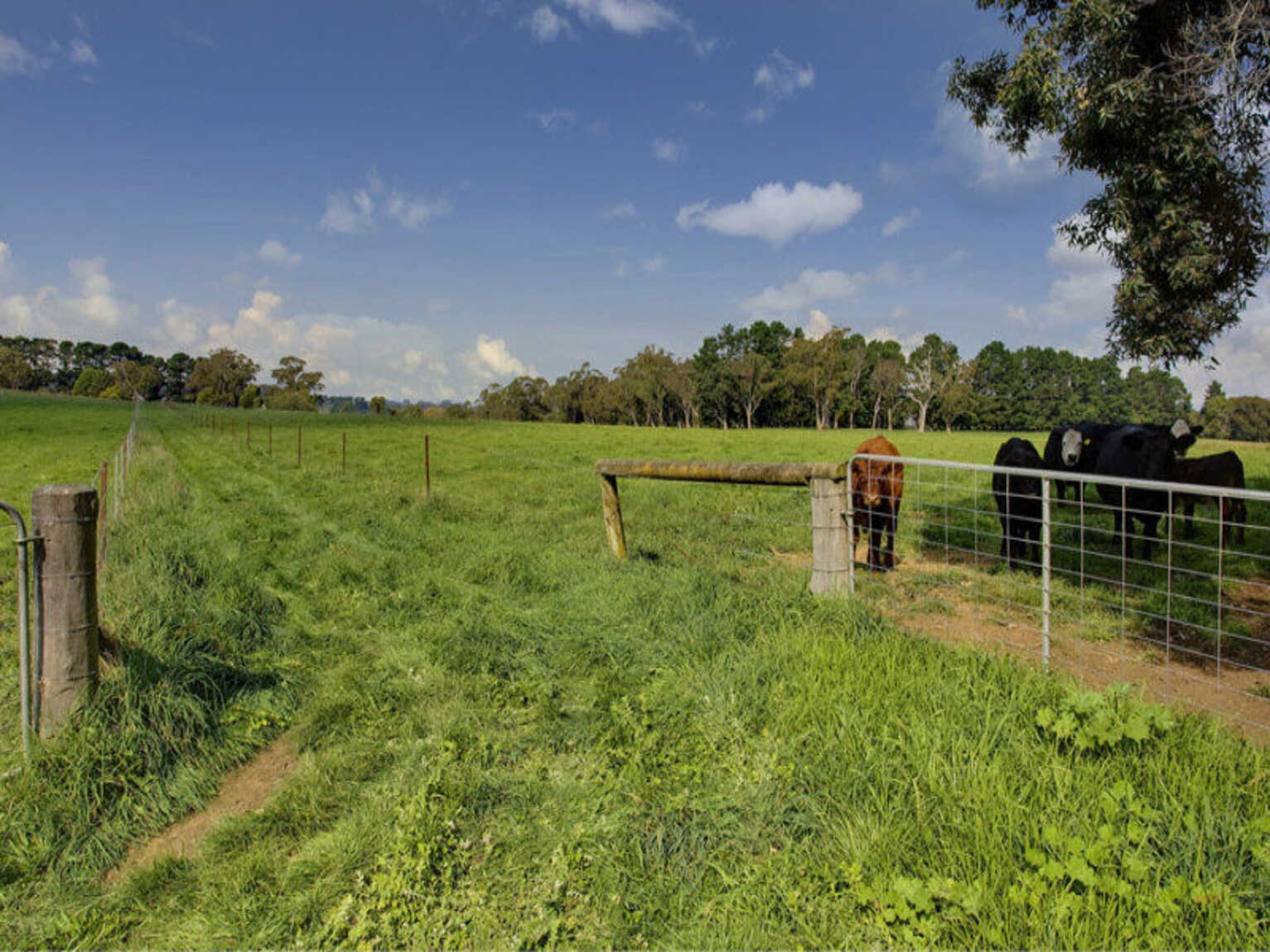 674 'Eureka Pines' Nowra Road Moss Vale