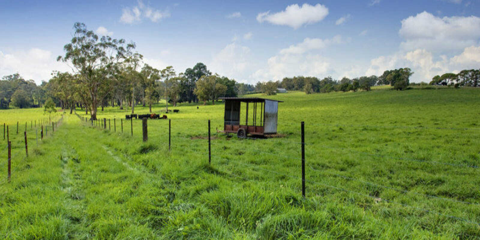 674 'Eureka Pines' Nowra Road Moss Vale