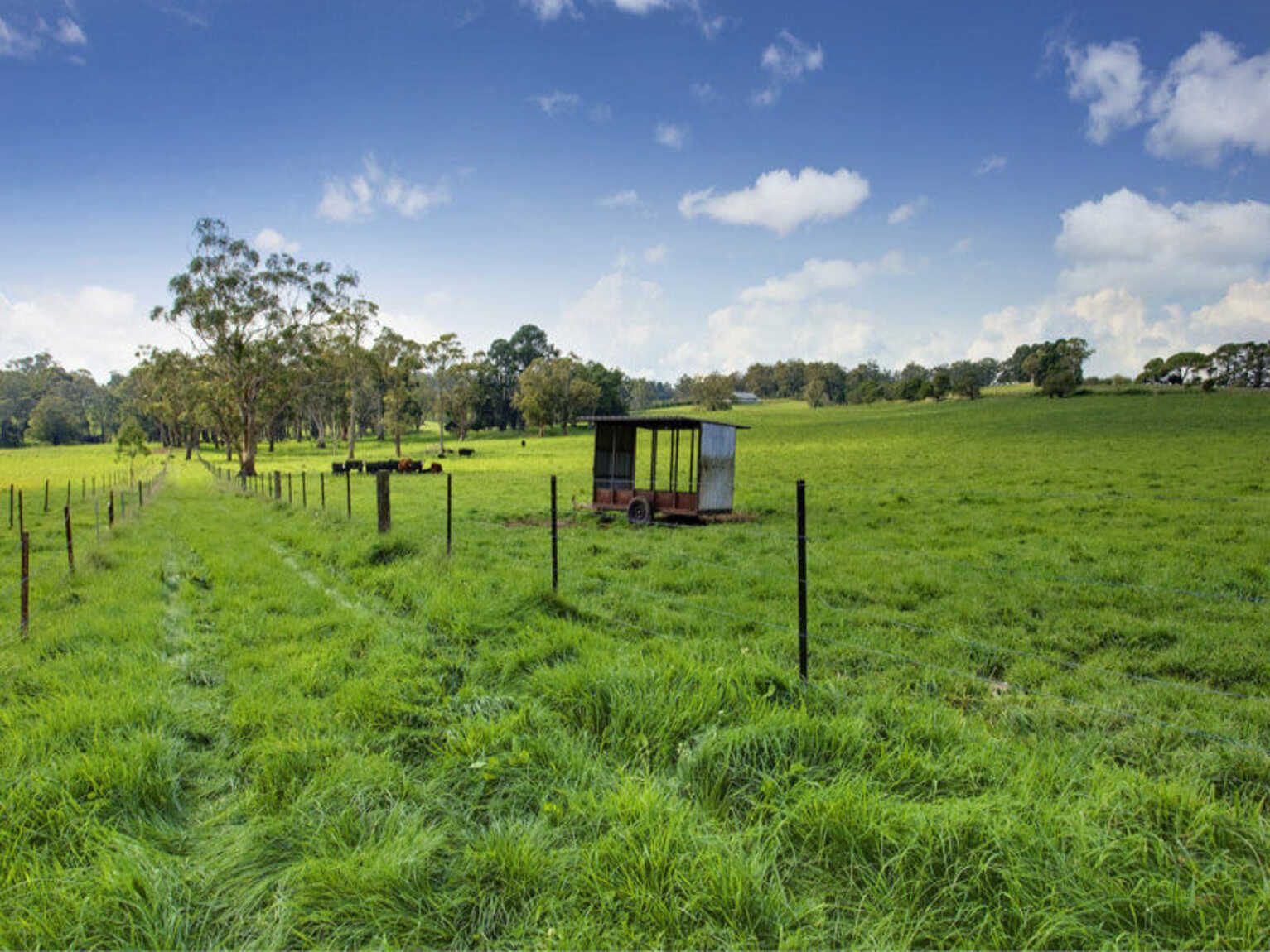 674 'Eureka Pines' Nowra Road Moss Vale