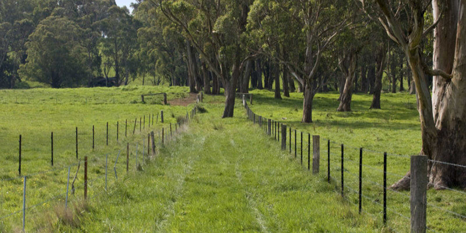 674 'Eureka Pines' Nowra Road Moss Vale