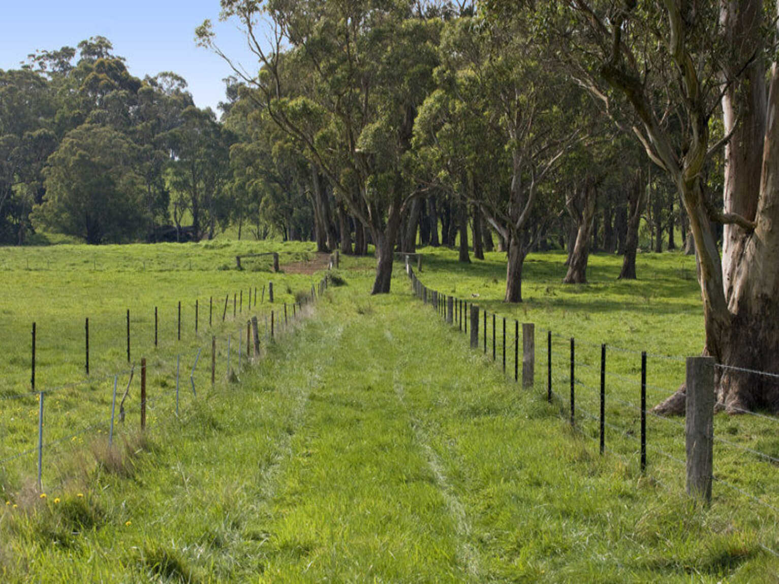 674 'Eureka Pines' Nowra Road Moss Vale